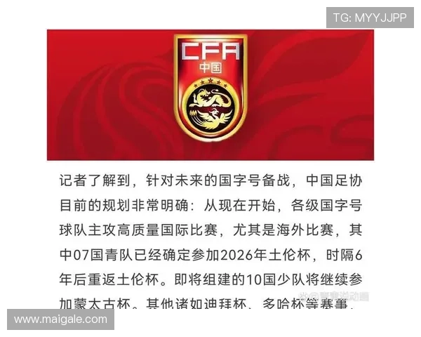 中国足协持续推进海外战略积极申办国际足球赛事展现决心 中国足协持续推进海外战略积极申办国际足球赛事展现决心