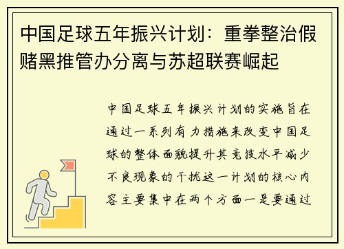 中国足球五年振兴计划：重拳整治假赌黑推管办分离与苏超联赛崛起